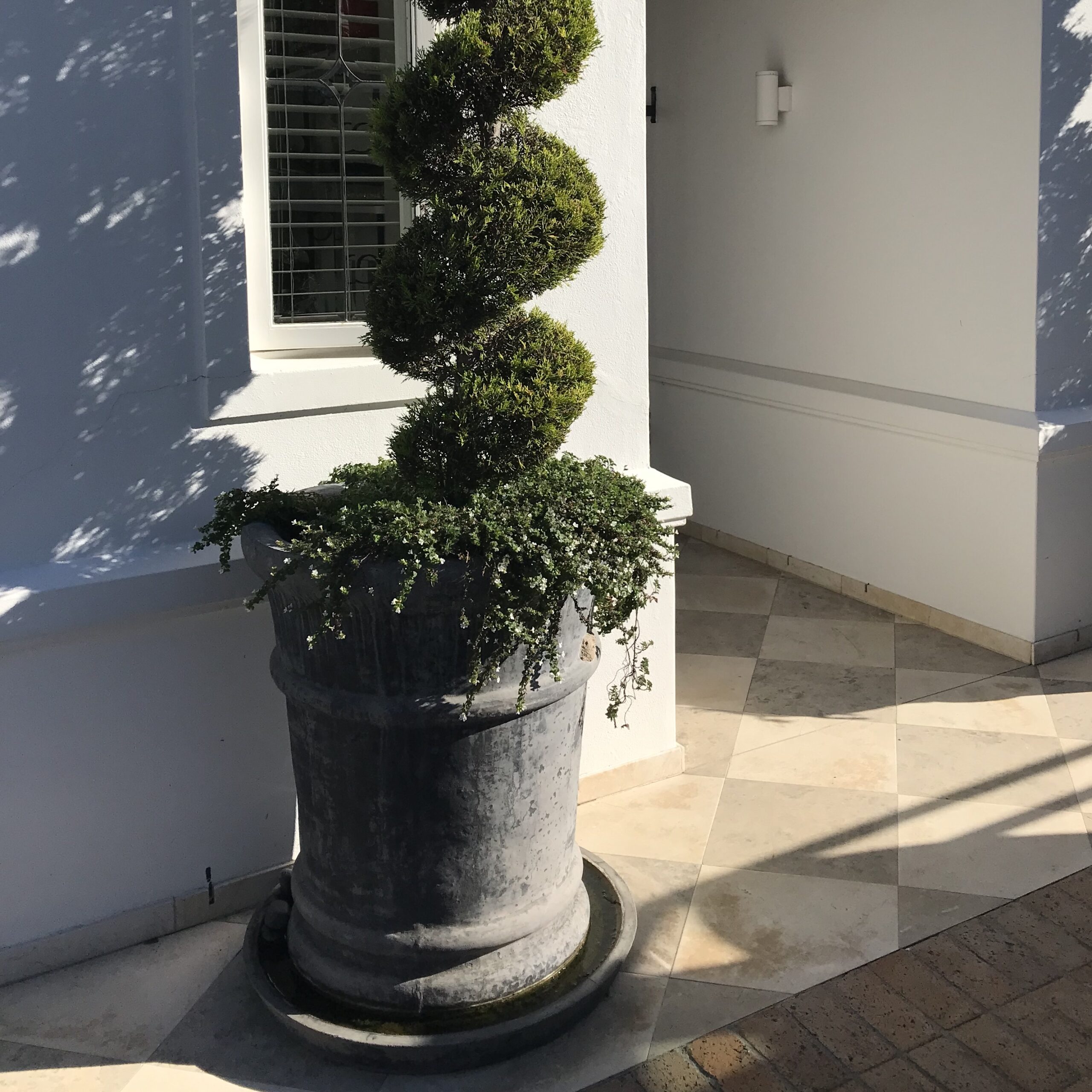 Clarendon Planter 2 Clarendon Planter - Image 2